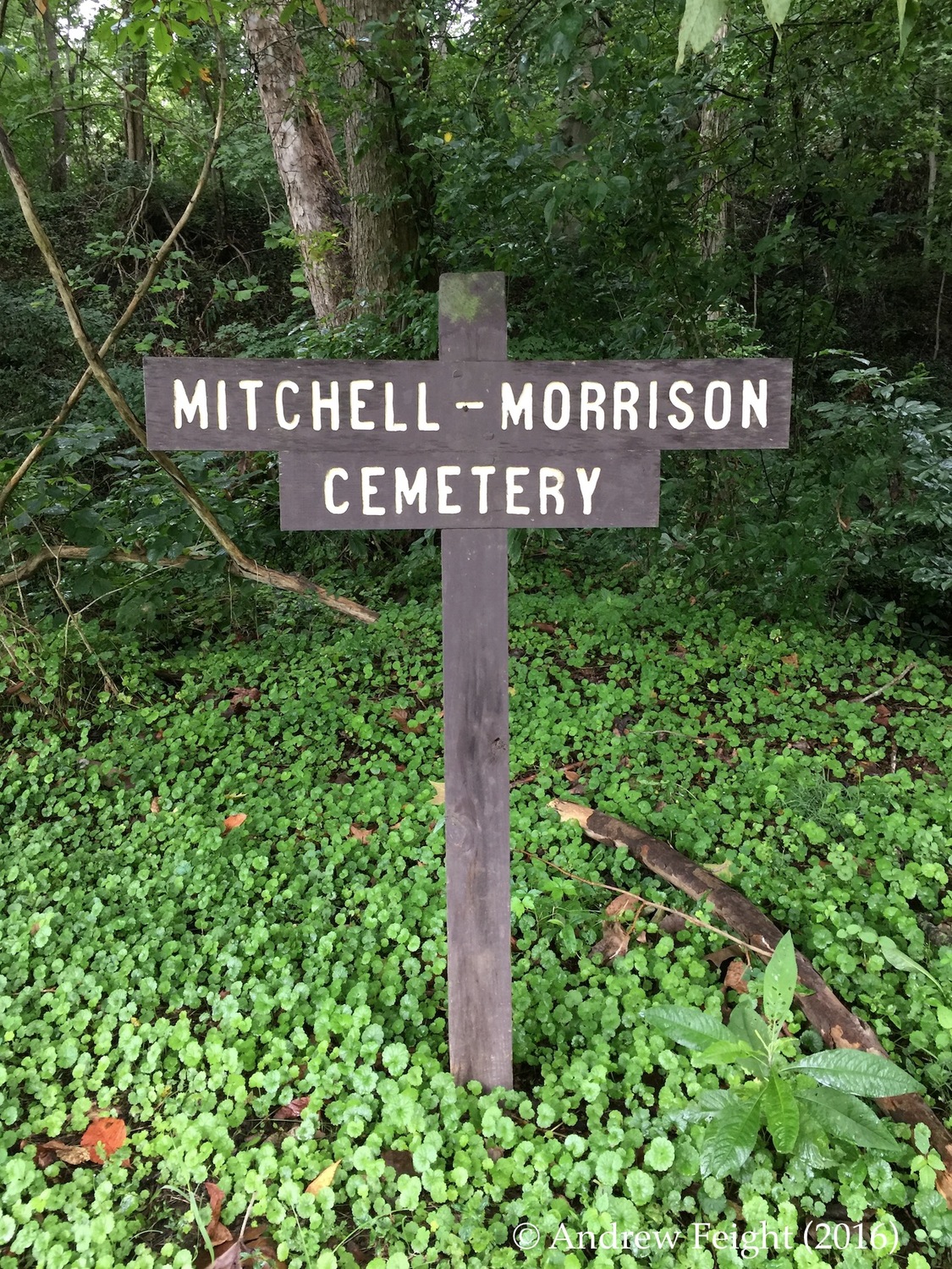 Mitchell-Morrison Cemetery, Moore's Run, Shawnee Backcountry Management Area, Shawnee State Forest, Scioto County, Ohio